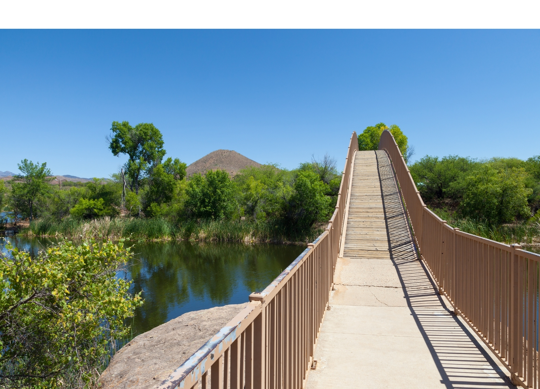 Escape to Patagonia Lake State Park: Arizona's Hidden Gem