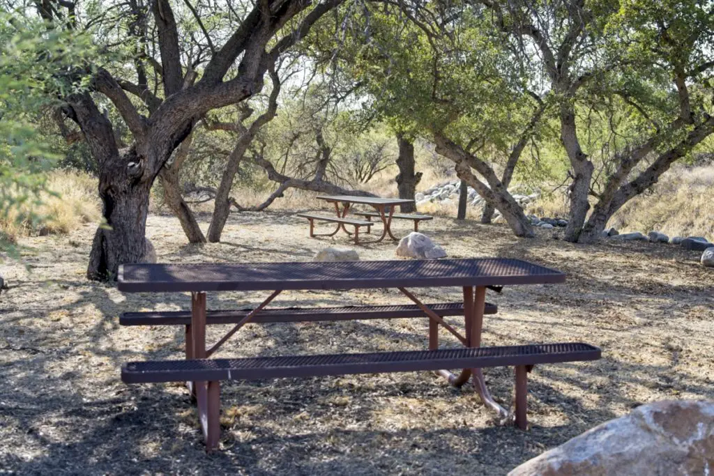 Oracle State Park - Picnic Area