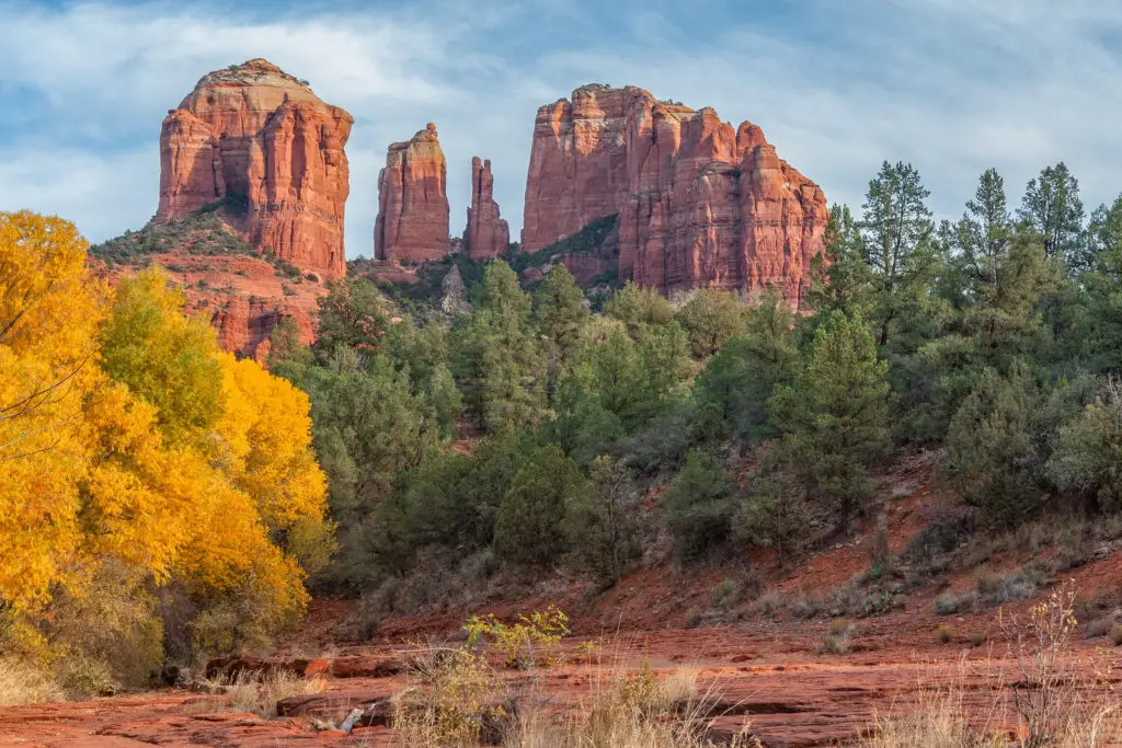 Autumn at Cathedral Rock